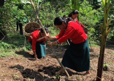 Siembra y cosecha en Sacha Waysa