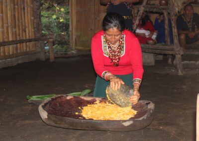 Preparación de la guayusa en el oriente ecuatoriano