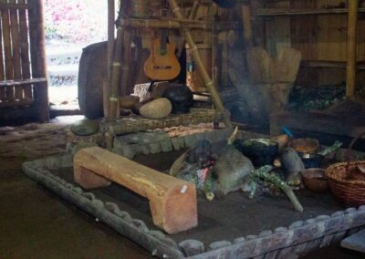 ñukanchi-sacha-waysa (5)