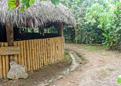 ñukanchi-sacha-waysa (66)