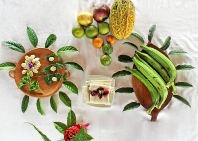 ñukanchi-sacha-waysa (74)