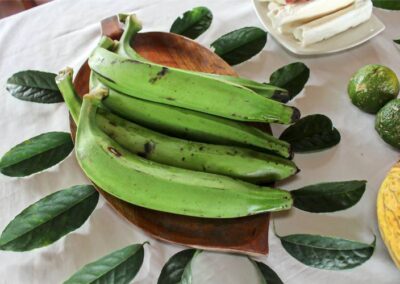 ñukanchi-sacha-waysa (76)