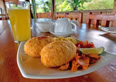 ñukanchi-sacha-waysa (89)